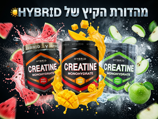 מה זה קריאטין ולמה הוא התוסף שחסר לאימון שלכם?