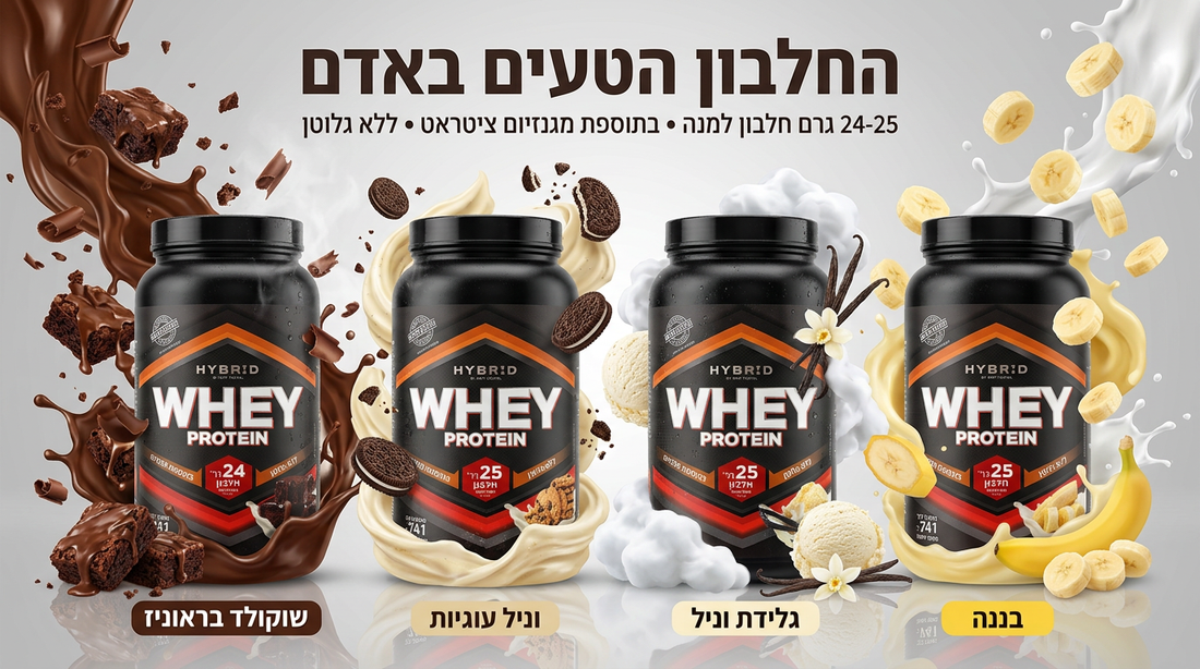 מה זה אבקת חלבון? ואיך משתמשים בה?