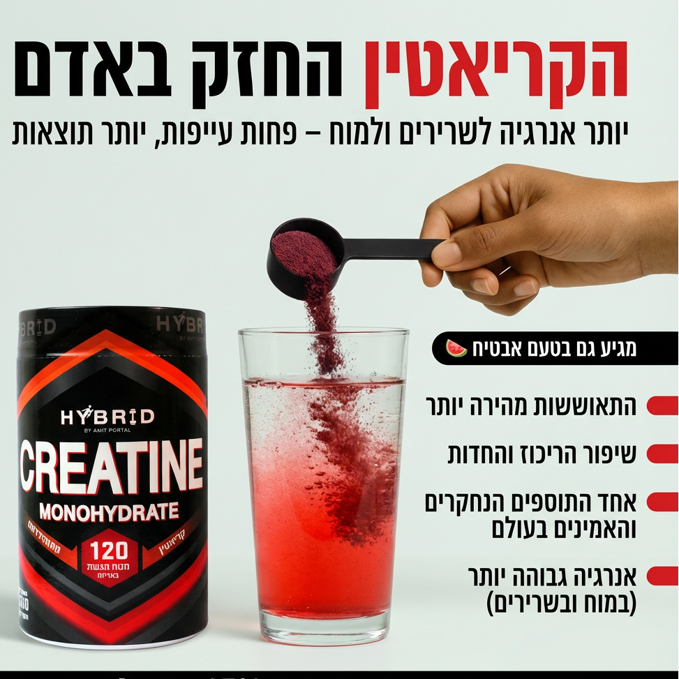 קריאטין - HYBRID (מכירה מוקדמת)