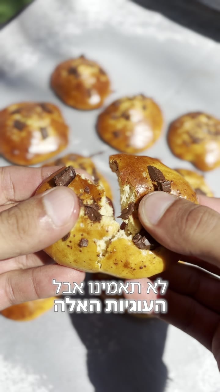 סרטון של אורי הלוי על החלבון